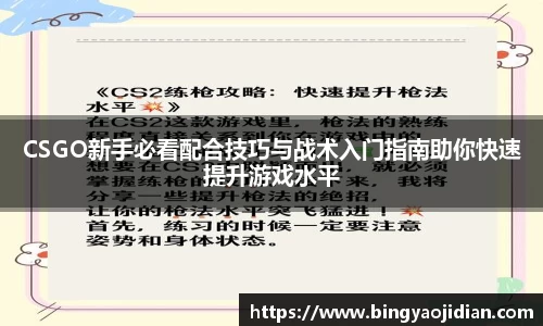 CSGO新手必看配合技巧与战术入门指南助你快速提升游戏水平