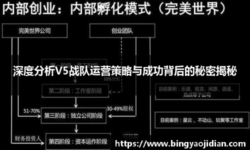 深度分析V5战队运营策略与成功背后的秘密揭秘