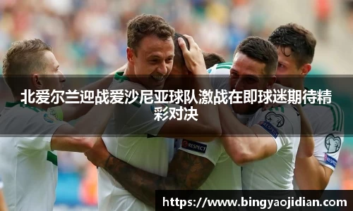北爱尔兰迎战爱沙尼亚球队激战在即球迷期待精彩对决